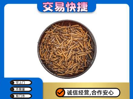 铜山区回收散虫草